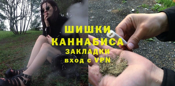 твердый Михайловск