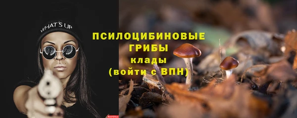 твердый Михайловск