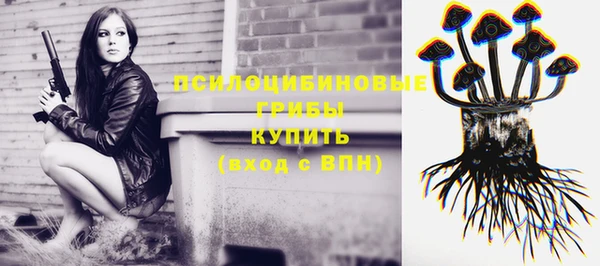 твердый Михайловск