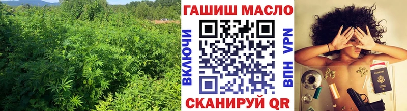 ТГК концентрат  где найти   Армянск 
