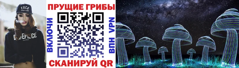 Псилоцибиновые грибы прущие грибы как найти закладки ОМГ ОМГ ССЫЛКА Армянск